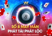SỐ 8 MAY MẮN – PHÁT TÀI PHÁT LỘC