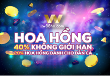 Trở thành đại lý của W88: kiếm ngàn đô mỗi tháng dễ như trở bàn tay
