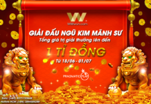 GIẢI ĐẤU NGŨ KIM MÃNH SƯ