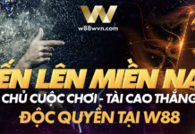 Hướng dẫn chi tiết cách chơi TIẾN LÊN MIỀN NAM tại W88