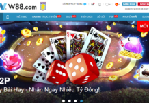 Giải đáp các câu hỏi liên quan khi truy cập vào W88