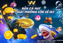 BẮN CÁ HAY – GIẬT THƯỞNG LỚN VỀ TAY