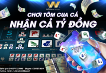 CHƠI TÔM CUA CÁ – NHẬN CẢ TỶ ĐỒNG