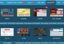 Phân tích ưu và nhược điểm của xổ số lô đề trên W88