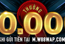 THƯỞNG NGAY KHOẢN GỬI ĐẦU TIÊN TRÊN DI ĐỘNG m.w88wap.com