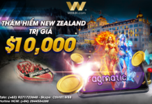 GIẢI ĐẤU DU LỊCH VÒNG QUANH THẾ GIỚI