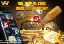THU THẬP VÉ CƯỢC – NHẬN QUÀ HĂNG SAY