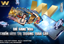 THẺ GAME W88 – CHIẾM LĨNH THỊ TRƯỜNG NĂM CHÂU