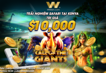 GIẢI ĐẤU DU LỊCH VÒNG QUANH THẾ GIỚI