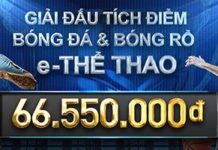 GIẢI ĐẤU TÍCH ĐIỂM BÓNG ĐÁ&BÓNG RỔ TẠI e- THỂ THAO