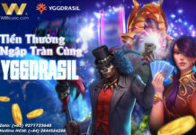 TIỀN THƯỞNG NGẬP TRÀN CÙNG SLOT YGGDRASIL