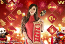 TẾT RỘN RÀNG – XUÂN NHƯ Ý