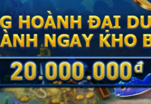 TUNG HOÀNH ĐẠI DƯƠNG – GIÀNH NGAY KHO BÁU