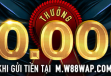THƯỞNG NGAY KHOẢN GỬI ĐẦU TIÊN TRÊN DI ĐỘNG m.w88wap.com
