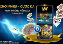 CHƠI PHIÊU – CƯỢC ĐÃ – NHẬN THƯỞNG MỖI NGÀY CÙNG W88