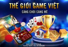 THẾ GIỚI GAME VIỆT – CÀNG CHƠI CÀNG MÊ