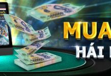 MUA 1 ĐƯỢC 2 – HÁI LỘC NĂM MỚI