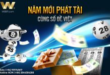 NĂM MỚI PHÁT TÀI CÙNG SỐ ĐỀ VIỆT