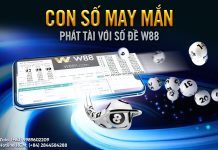 CON SỐ MAY MẮN – PHÁT TÀI VỚI SỐ ĐỀ W88