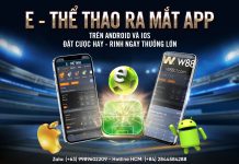 CƯỢC HAY – RINH NGAY THƯỞNG LỚN TẠI APP E – THỂ THAO W88