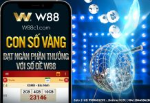CON SỐ VÀNG – BẠT NGÀN TIỀN THƯỞNG VỚI SỐ ĐỀ W88