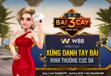 XỨNG DANH TAY BÀI – RING THƯỞNG CỰC ĐÃ VỚI BÀI 3 CÂY MIỀN BẮC