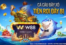 CÁ CÂU ĐẦY XÔ – TIỀN RƠI ĐẦY BỊ