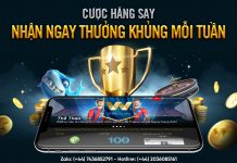 CƯỢC HĂNG SAY – NHẬN NGAY THƯỞNG KHỦNG MỖI TUẦN CÙNG W88