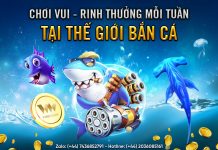CHƠI VUI – RINH THƯỞNG MỖI TUẦN TẠI THỂ GIỚI BẮN CÁ W88