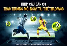 NHỊP CẦU SÂN CỎ – TRAO THƯỞNG MỖI NGÀY TẠI THỂ THAO W88