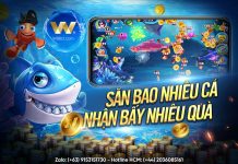 SĂN BAO NHIÊU CÁ – NHẬN BẤY NHIÊU QUÀ CÙNG THẾ GIỚI BẮN CÁ W88