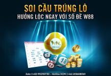 SOI CẦU TRÚNG LÔ – HƯỞNG LỘC NGAY VỚI SỐ ĐỀ W88