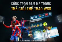 SỐNG TRỌN ĐAM MÊ TRONG THẾ GIỚI THỂ THAO W88