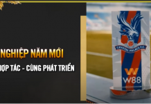 ĐẠI LÝ W88 – CÙNG HỢP TÁC, CÙNG THÀNH CÔNG | HƯỚNG VỀ NĂM MỚI NHÂM DẦN 2022