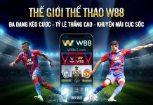 C-THỂ THAO – TRAO CƠ HỘI TĂNG LỢI NHUẬN CHO ĐẠI LÝ THÀNH VIÊN