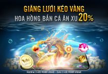 GIĂNG LƯỚI KÉO VÀNG – HOA HỒNG BẮN CÁ ĂN XU 20%