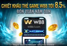 CHIẾT KHẤU THẺ GAME W88 LÊN TỚI 8.5% ĐÓN XUÂN NHÂM DẦN