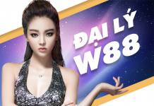 TẤT TẦN TẬT NHỮNG HÌNH THỨC THANH TOÁN HOA HỒNG CHO ĐẠI LÝ W88