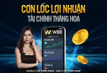 CƠN LỐC LỢI NHUẬN – TÀI CHÍNH THĂNG HOA