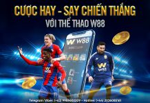 CƯỢC HAY – SAY CHIẾN THẮNG VỚI THỂ THAO W88