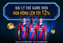 CƠ HỘI VÀNG – ĐẠI LÝ THẺ GAME W88