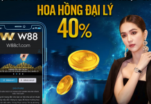 CHI PHÍ ĐẠI LÝ W88 VÀ CÁCH TÍNH HOA HỒNG CHI TIẾT