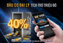 SỬ DỤNG MỤC BÁO CÁO ĐỂ THEO DÕI KẾT QUẢ KINH DOANH ĐẠI LÝ CHÍNH XÁC NHẤT