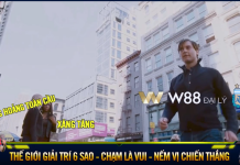 ĐẠI LÝ W88 – KIẾM TIỀN ONLINE VƯỢT QUA MỌI KHỦNG HOẢNG KINH TẾ