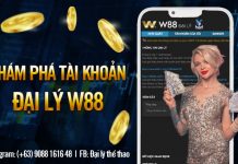 KHÁM PHÁ TÀI KHOẢN ĐẠI LÝ W88 CHI TIẾT