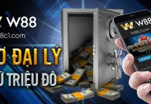KINH DOANH ONLINE – LỢI NHUẬN BAY CAO ĐẠI LÝ W88