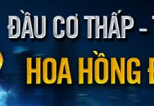 SỬ DỤNG QUẢN LÝ QUỸ ĐÚNG CÁCH ĐỂ TỐI ƯU HÓA HOẠT ĐỘNG ĐẠI LÝ