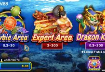 MẸO CHƠI BẮN CÁ HIỆU QUẢ – ĂN TIỀN NHÀ CÁI