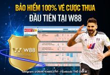 BẢO HIỂM 100% VÉ CƯỢC THUA ĐẦU TIÊN TẠI THỂ THAO W88