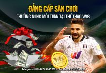 ĐẲNG CẤP SÂN CHƠI – THƯỞNG NÓNG MỖI TUẦN TẠI THỂ THAO W88